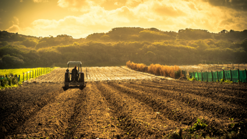 Muito além da precisão: Aldo Vendramin mostra como a agricultura 5.0 integra automação, IA e sustentabilidade no campo.