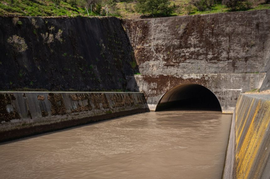 Galeria de drenagem de concreto com água escura escoando para um túnel, entre paredes cobertas de musgo.