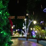 Parque iluminado à noite com luzes coloridas e decoração festiva de Natal.